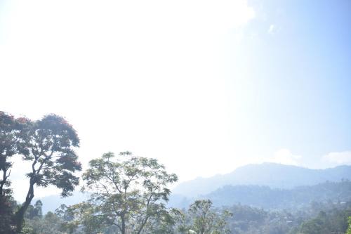 Bandarawela Apartment | Scenic Mountain View Hotel - Family-Friendly Getaway