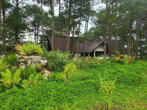 Da Lat Apartment | Discover Family Comfort at Full Moon Farms Dalat