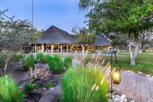 Tsumeb Resort | Experience Nature at Mushara Bush Camp with Ocean Views