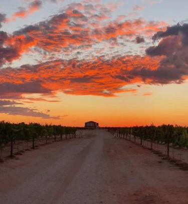 Strampriet House | Enjoy Family-Friendly Comfort at Kharuhase, Roots 817