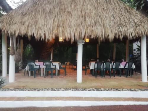 Jalcomulco Hotel | Discover Quinto Sol Hotel Boutique: Family & Pet Friendly Stay